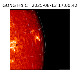 gong - 2025-08-13T17:00:42