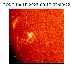 gong - 2025-08-13T02:00:42