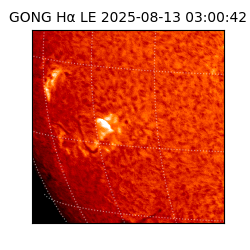 gong - 2025-08-13T03:00:42