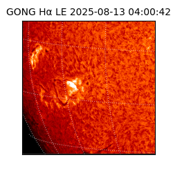 gong - 2025-08-13T04:00:42
