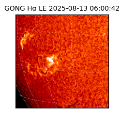 gong - 2025-08-13T06:00:42