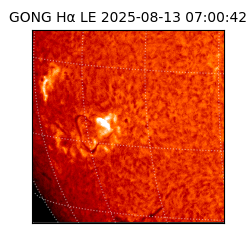 gong - 2025-08-13T07:00:42