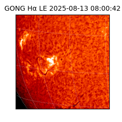 gong - 2025-08-13T08:00:42
