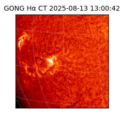 gong - 2025-08-13T13:00:42