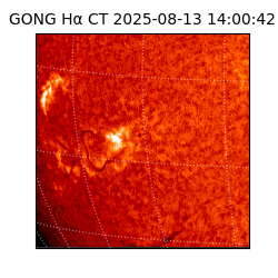 gong - 2025-08-13T14:00:42