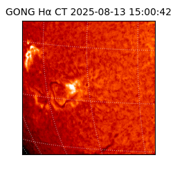 gong - 2025-08-13T15:00:42