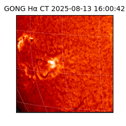 gong - 2025-08-13T16:00:42