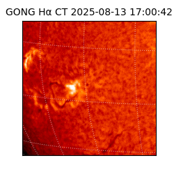 gong - 2025-08-13T17:00:42