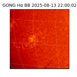 gong - 2025-08-13T22:00:02