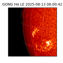 gong - 2025-08-13T06:00:42