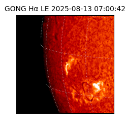 gong - 2025-08-13T07:00:42