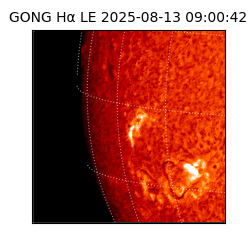 gong - 2025-08-13T09:00:42