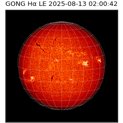 gong - 2025-08-13T02:00:42