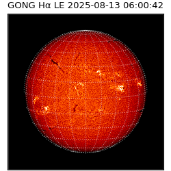 gong - 2025-08-13T06:00:42
