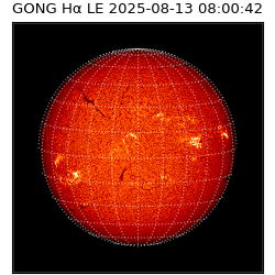 gong - 2025-08-13T08:00:42