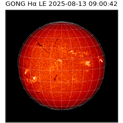 gong - 2025-08-13T09:00:42