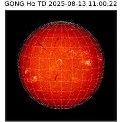 gong - 2025-08-13T11:00:22
