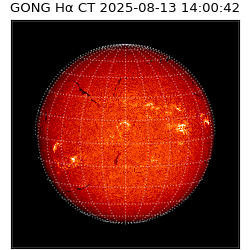 gong - 2025-08-13T14:00:42