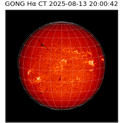 gong - 2025-08-13T20:00:42