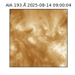 saia - 2025-08-14T09:00:04.843000