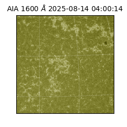 saia - 2025-08-14T04:00:14.131000