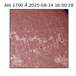 saia - 2025-08-14T16:00:28.729000