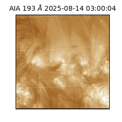 saia - 2025-08-14T03:00:04.843000