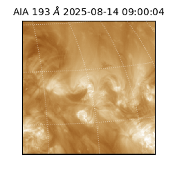 saia - 2025-08-14T09:00:04.843000