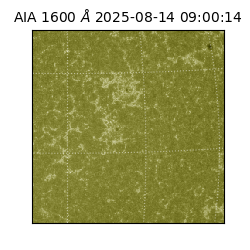 saia - 2025-08-14T09:00:14.126000