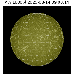 saia - 2025-08-14T09:00:14.126000