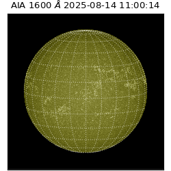 saia - 2025-08-14T11:00:14.126000