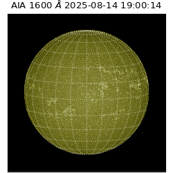 saia - 2025-08-14T19:00:14.126000