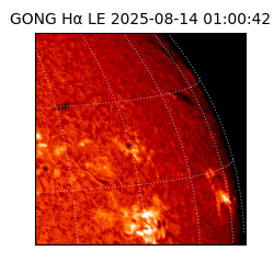 gong - 2025-08-14T01:00:42