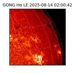 gong - 2025-08-14T02:00:42