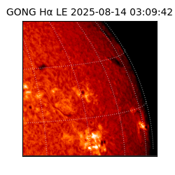 gong - 2025-08-14T03:09:42