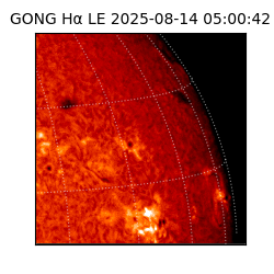 gong - 2025-08-14T05:00:42