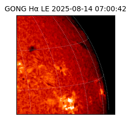 gong - 2025-08-14T07:00:42