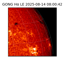 gong - 2025-08-14T08:00:42