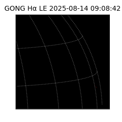 gong - 2025-08-14T09:08:42