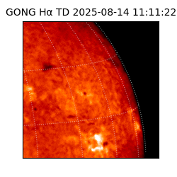 gong - 2025-08-14T11:11:22