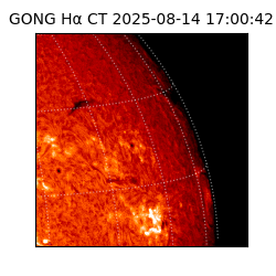 gong - 2025-08-14T17:00:42