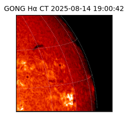 gong - 2025-08-14T19:00:42