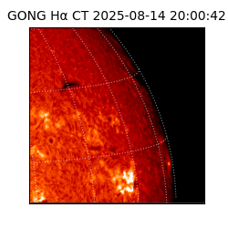 gong - 2025-08-14T20:00:42