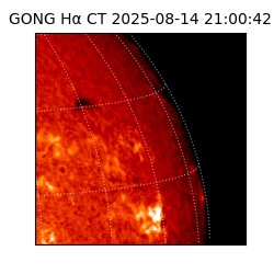 gong - 2025-08-14T21:00:42