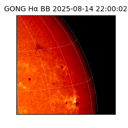 gong - 2025-08-14T22:00:02