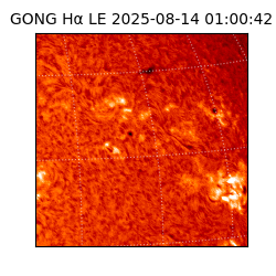 gong - 2025-08-14T01:00:42