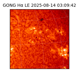 gong - 2025-08-14T03:09:42