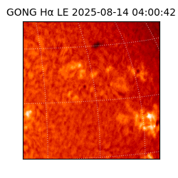 gong - 2025-08-14T04:00:42