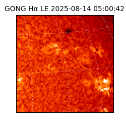 gong - 2025-08-14T05:00:42