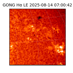 gong - 2025-08-14T07:00:42